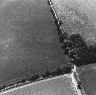 East Reston, fort and enclosure: oblique air photograph of cropmarks.