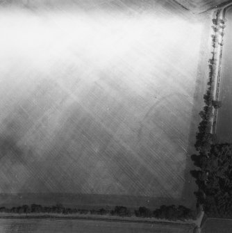 East Reston, fort: oblique air photograph of cropmarks.