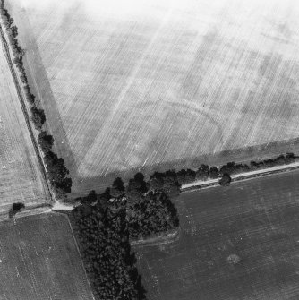 East Reston, fort: oblique air photograph of cropmarks.