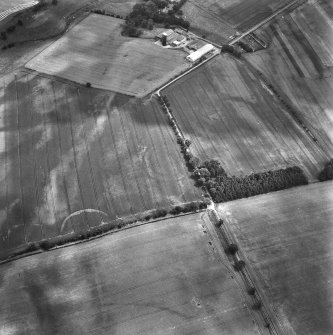 East Reston, settlement: oblique air photograph of cropmarks.