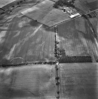 East Reston, settlement: oblique air photograph of cropmarks.