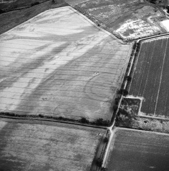 Oblique aerial view centred on the cropmarks of the settlement and enclosure, taken from the W.