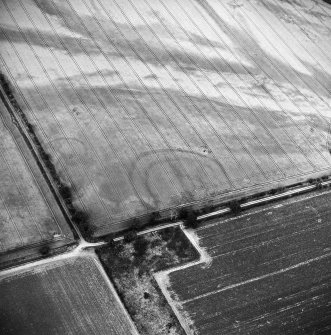 Oblique aerial view centred on the cropmarks of the settlement and enclosure, taken from the SW.