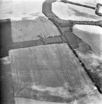 Oblique aerial view.