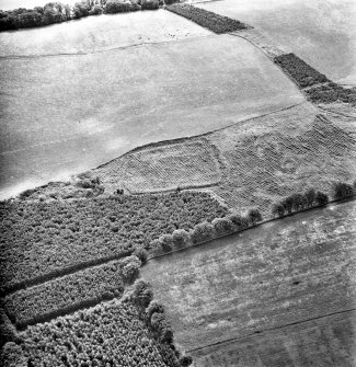 Oblique aerial view.