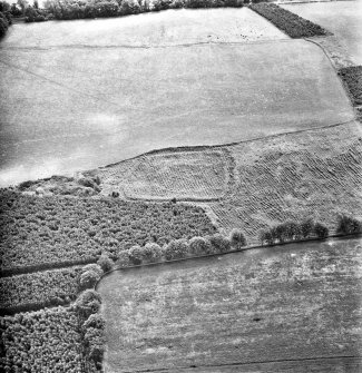 Oblique aerial view.