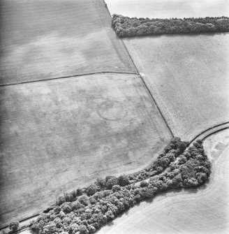 Oblique aerial view.