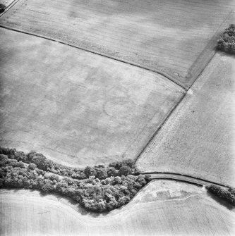 Oblique aerial view.