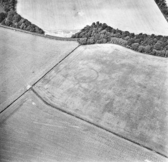 Oblique aerial view.