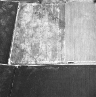 Foulden New Mains, oblique aerial view, taken from the WNW, centred on the cropmark of an enclosure.