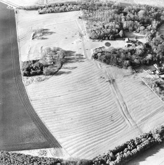 Oblique aerial view of the remains of the rig and possible enclosures with remains of the deserted medieval village, bastle, church, burial ground and country house adjacent, taken from the E.