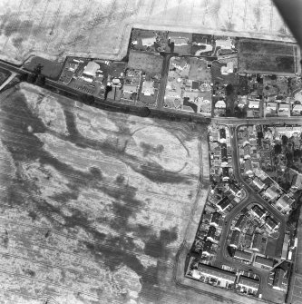 Ayton, Cocklaw, settlement and linear cropmark: oblique air photograph of cropmarks. (Also shows village).