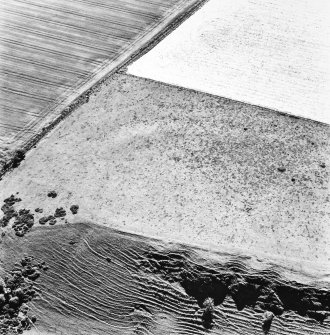 Chester Hill ,oblique aerial view taken from the NNE, centred on the earthwork of a fort.