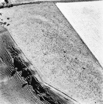 Chester Hill ,oblique aerial view taken from the NW, centred on the earthwork of a fort.