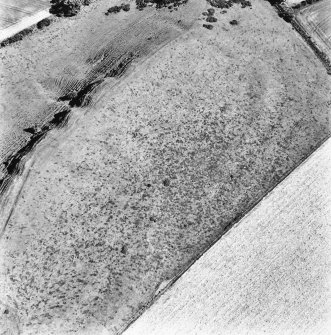 Chester Hill ,oblique aerial view taken from the W, centred on the earthwork of a fort.