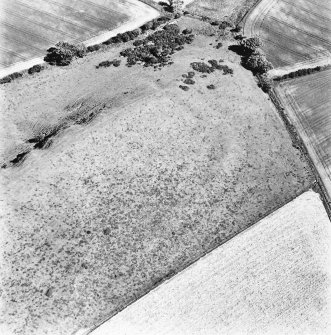 Chester Hill ,oblique aerial view taken from the WSW, centred on the earthwork of a fort.