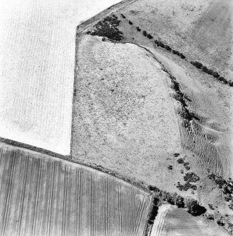 Chester Hill ,oblique aerial view taken from the SE, centred on the earthwork of a fort.