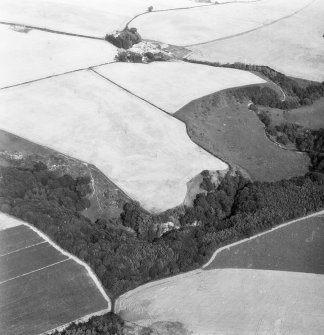 Linthill, fort and linear cropmarks: oblique air photograph of cropmarks.
