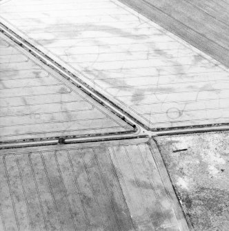 Oblique aerial view centred on the cropmarks of the barrow and ring-ditch, taken from the SW.