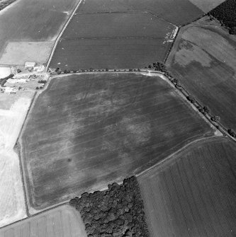 Oblique aerial view centred on the cropmarks of the settlement and field boundaries, with the farmhouse and farmsteading adjacent, taken from the W.