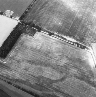 Oblique aerial view.