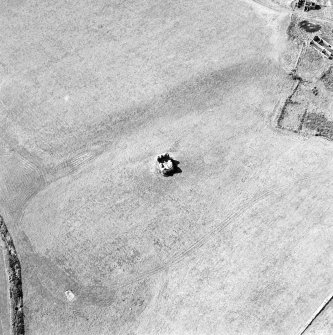 Oblique aerial view centred on the remains of the tower-house with the remains of the farmstead adjacent, taken from the E.