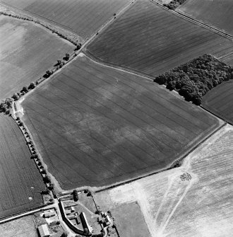 Oblique aerial view centred on the cropmarks of the settlement and field boundaries, with the farmhouse and farmsteading adjacent, taken from the NNW.