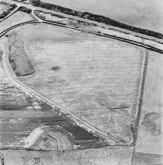 Craigcaffie, oblique aerial view, taken from the NW, showing cropmarks including those of an enclosure, a palisaded settlement, and linear cropmarks.