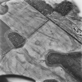 Oblique aerial view.