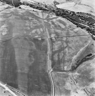 Oblique aerial view.