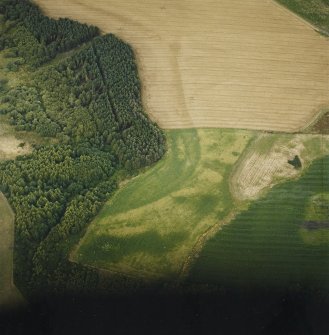Oblique aerial view centred on the cropmarks of the quarry pits and the enclosures, taken from the SW.
