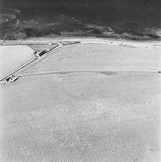 Girvan Mains, oblique aerial view, taken from the ESE, centred on the cropmark of a fort.