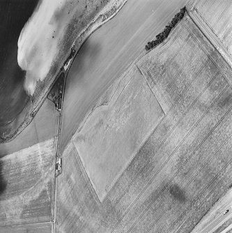 Oblique aerial photograph of Girvan Mains taken from the NE, centred on the cropmarks of a fort.