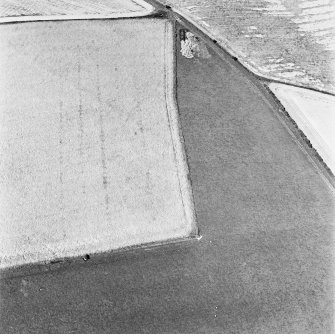 Houdston Hill, oblique aerial view, taken from the SE, centred on the cropmarks of the S half of a settlement