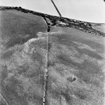 Shalloch Hill, Girvan, oblique aerial view, taken from the SE, centred on the cropmarks of a palisaded settlement. Linear cropmarks are visible in the bottom half of the photograph.