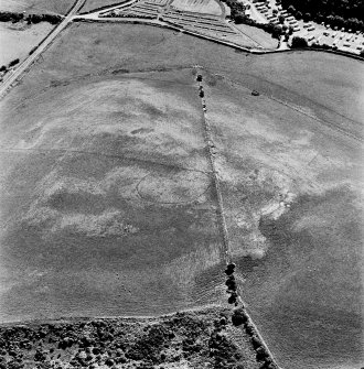 Shalloch Hill, Girvan, oblique aerial view, taken from the NW, centred on the cropmarks of a palisaded settlement and linear cropmarks.