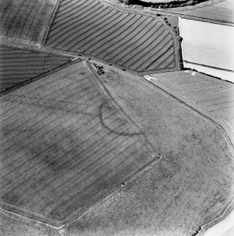 Houdston Hill, oblique aerial view, taken from the SE, centred on the cropmarks of the S half of a settlement.