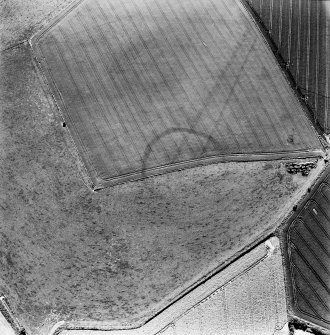 Houdston Hill, oblique aerial view, taken from the NE, centred on the cropmarks of the S half of a settlement.