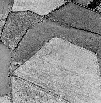 Oblique aerial view centred on the cropmarks of the settlement, taken from the W.