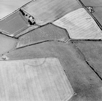 Oblique aerial view centred on the cropmarks of the settlement, taken from the SW.