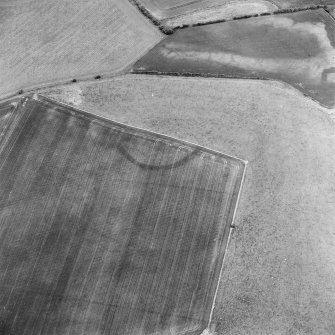 Oblique aerial view centred on the cropmarks of the settlement with enclosure and pits adjacent, taken from the SSW.