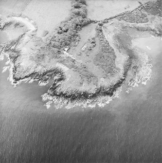 Oblique aerial view centred on the remains of the buildings and promontory fort, taken from the NE.