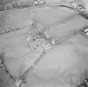 Oblique aerial view centred on the remains of the fort and rig, taken from the SSW.