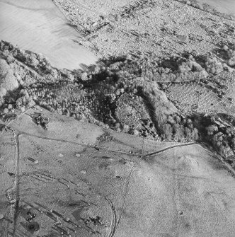 Oblique aerial view centred on the remains of the fort, taken from the WSW.