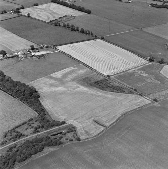 Oblique aerial view of Culvennan, taken from the SSE, centered on enclosure and cropmarks.