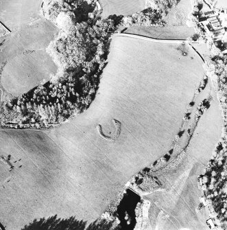 Oblique aerial view centred on the remains of the homestead, taken from the SW.