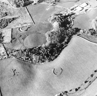 Oblique aerial view centred on the remains of the homesteads, taken from the SSW.