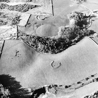 Oblique aerial view centred on the remains of the homesteads, taken from the S.