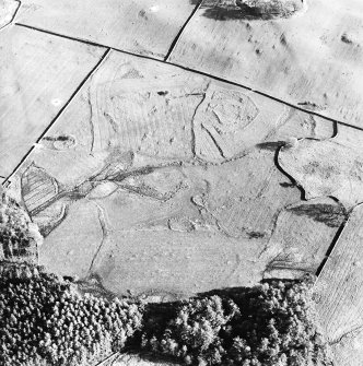 Oblique aerial view centred on the remains of the farmstead, field-system and rig with possible homestead and rig adjacent, taken from the NNW.