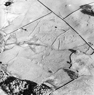 Oblique aerial view centred on the remains of the farmstead, field-system and rig with possible homestead and rig adjacent, taken from the NW.